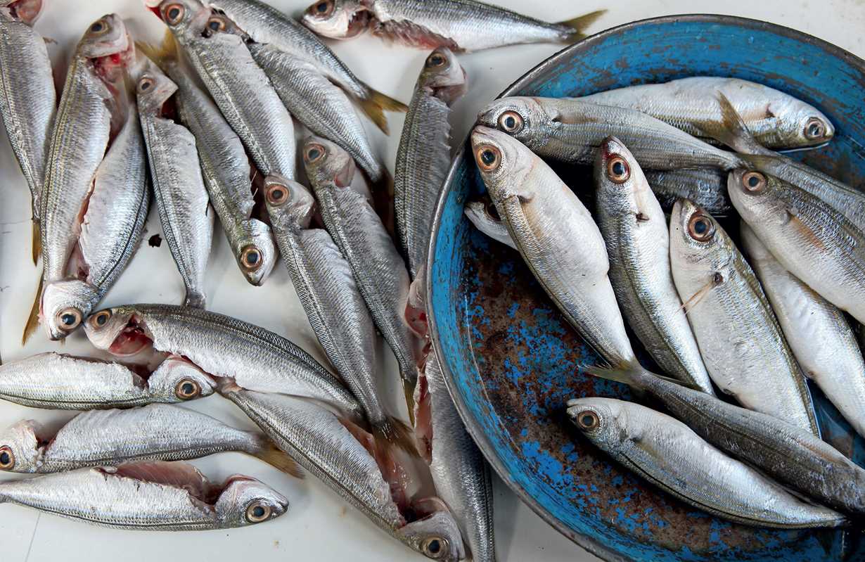 Forever Beirut by Barbara Abdeni Massaad