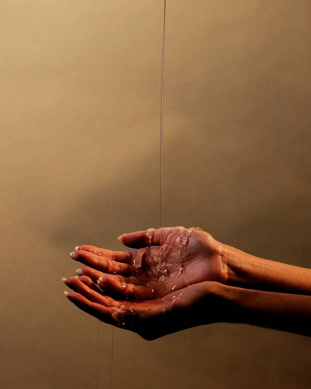 Liquid Hand Soap - Cactus Flower