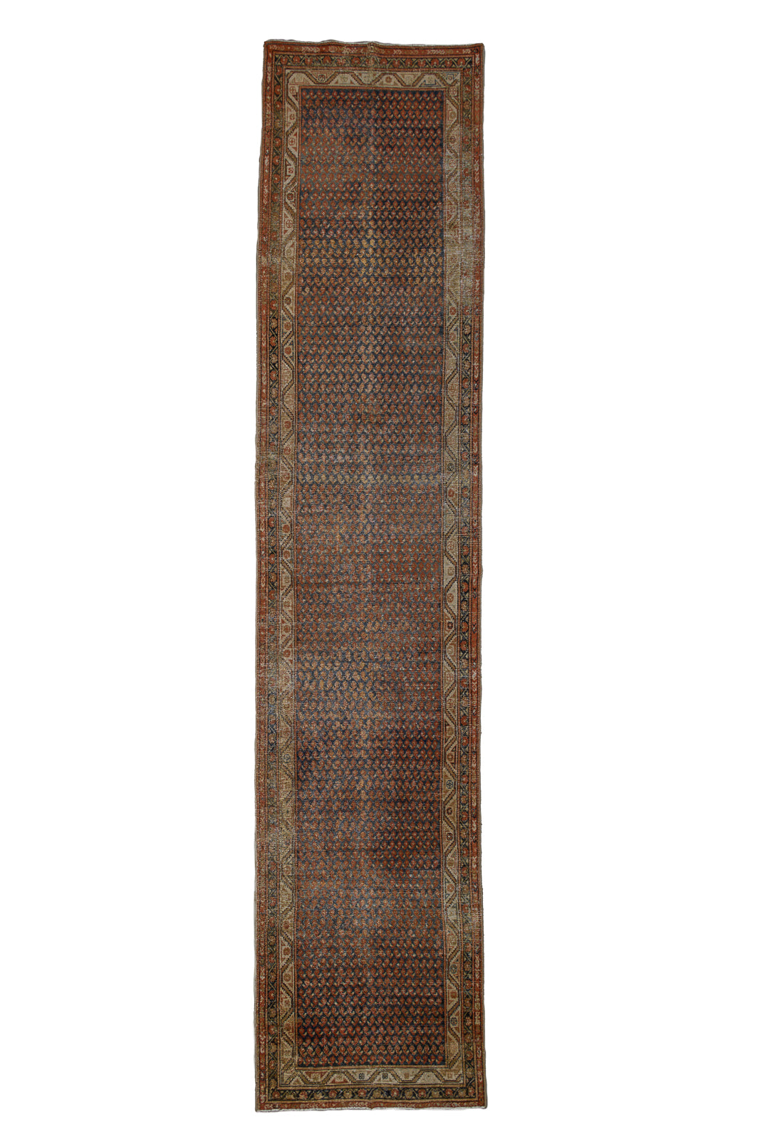 Badra | 3’3 x 15’3