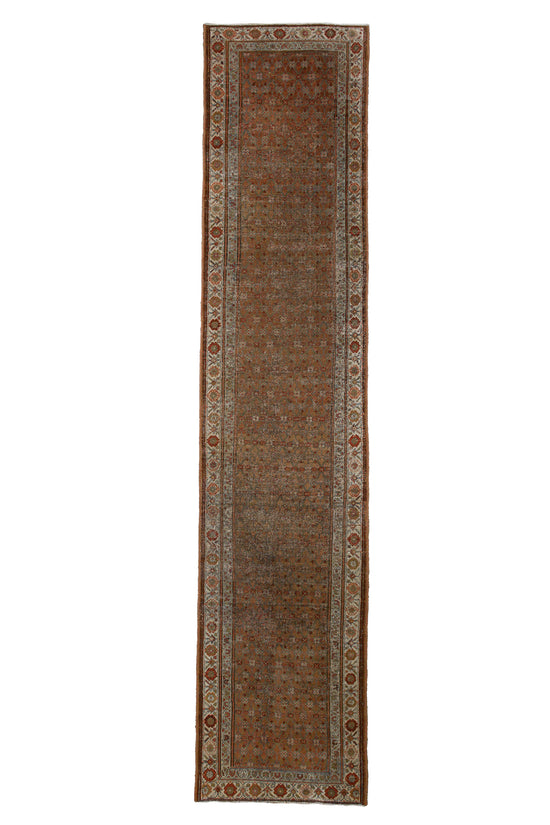 Faiza | 3’2 x 14’7