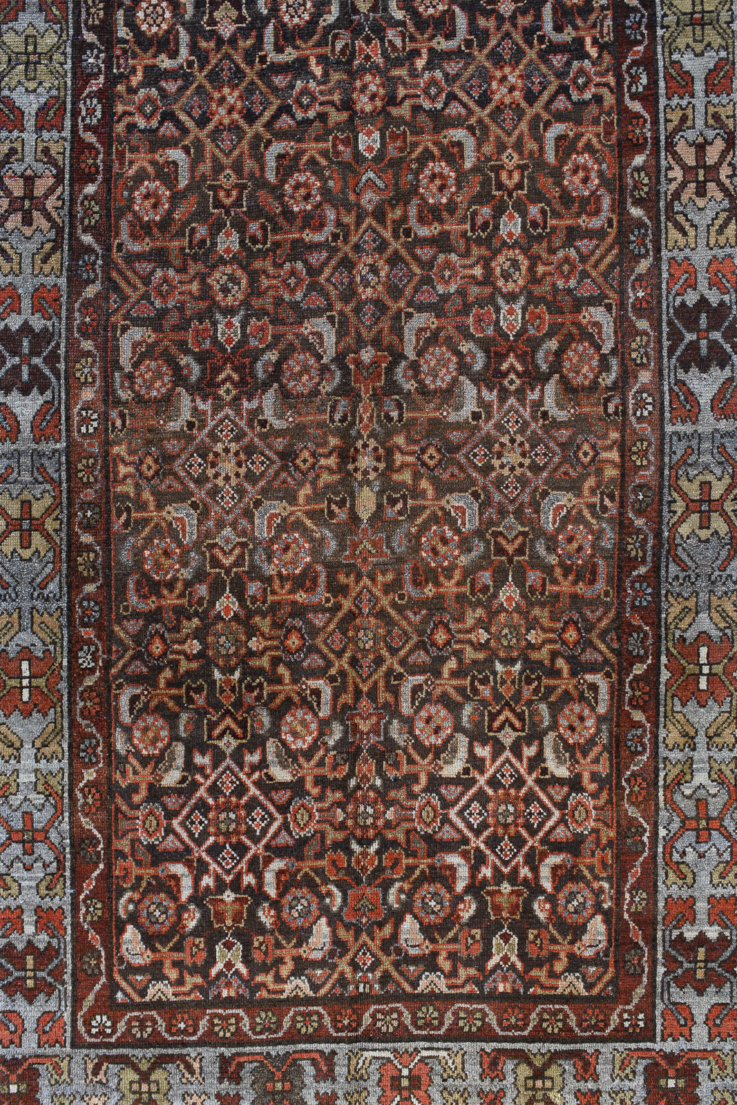 Zumini | 3’6 x 9’4