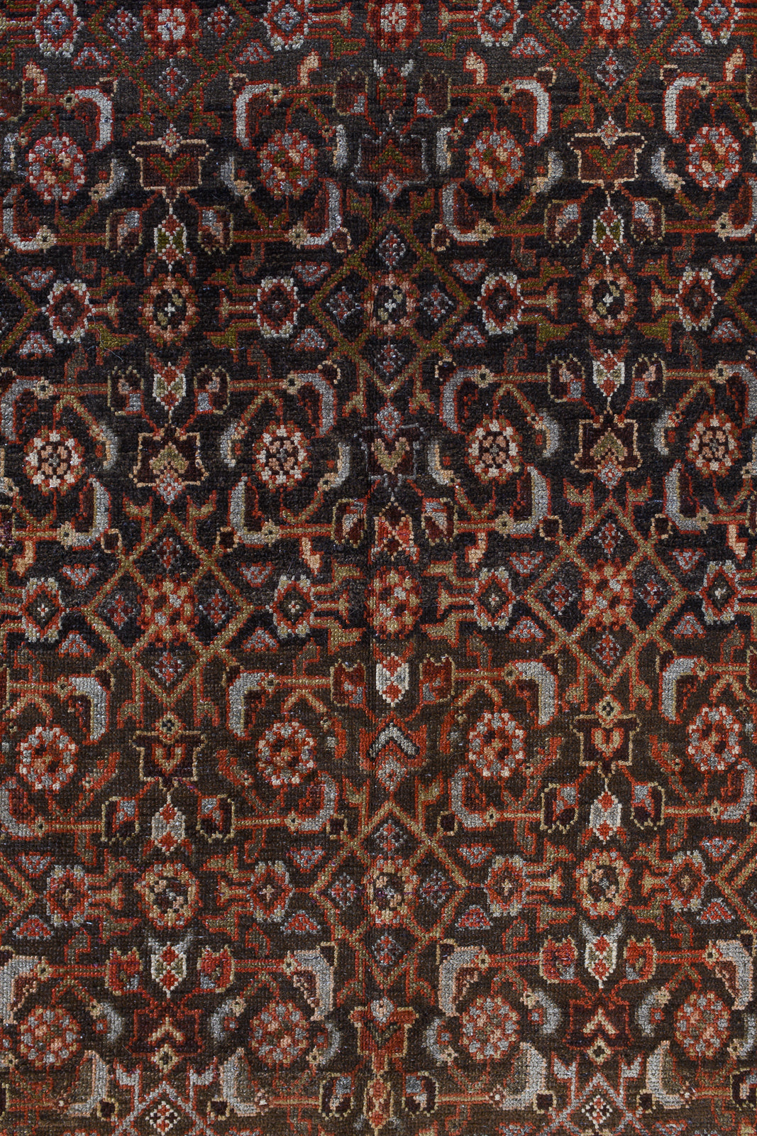 Zumini | 3’6 x 9’4