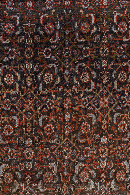 Zumini | 3’6 x 9’4