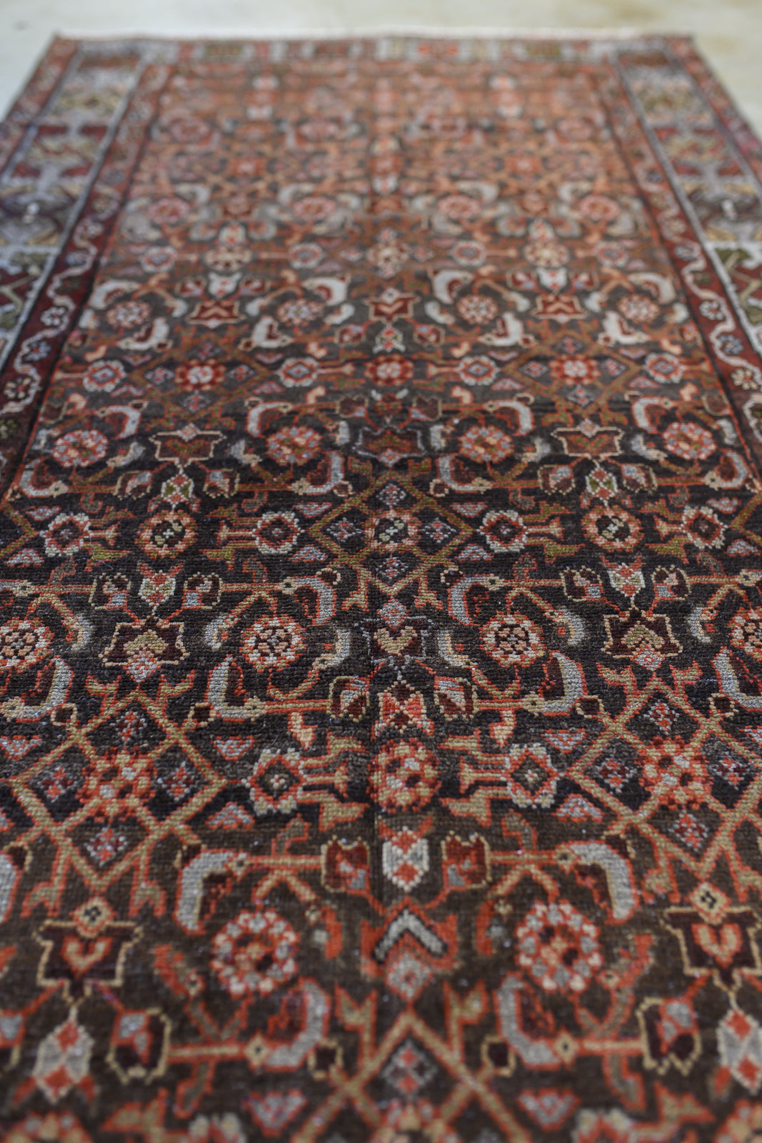 Zumini | 3’6 x 9’4