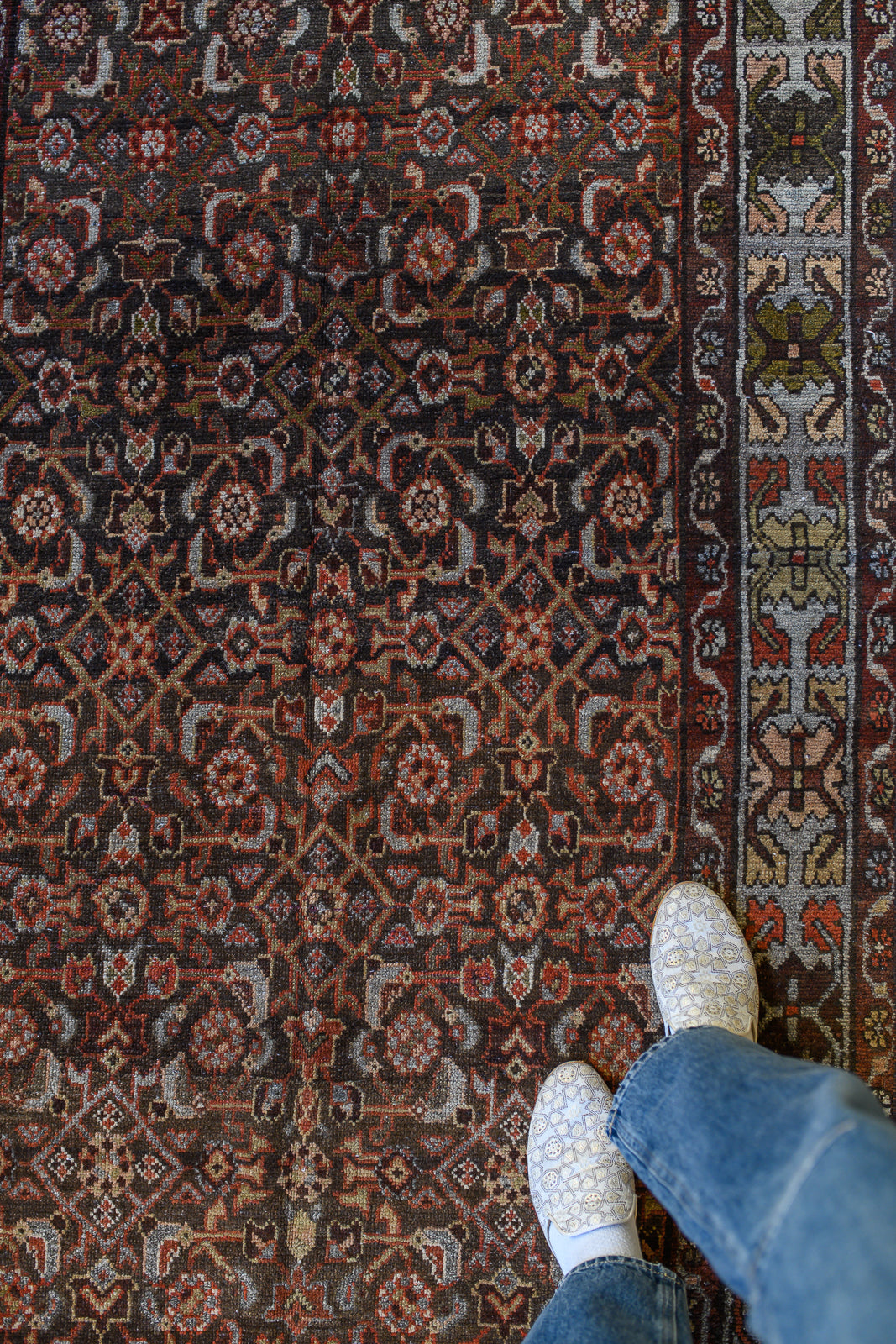 Zumini | 3’6 x 9’4