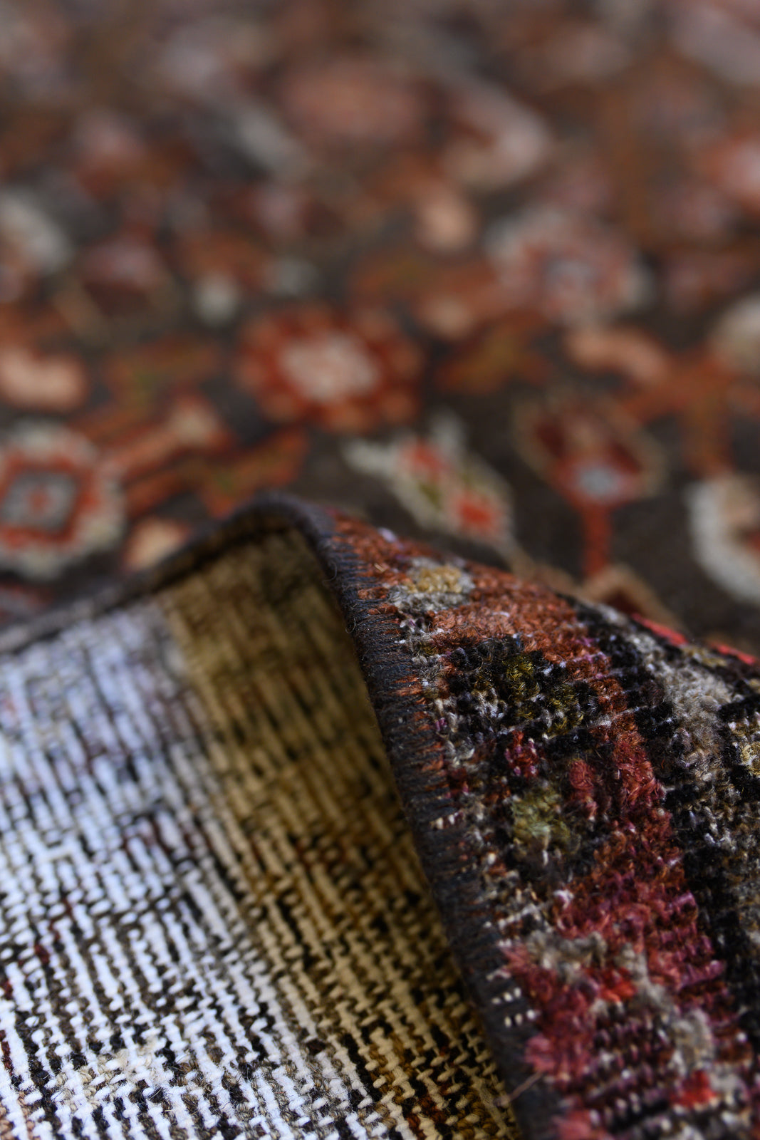 Zumini | 3’6 x 9’4