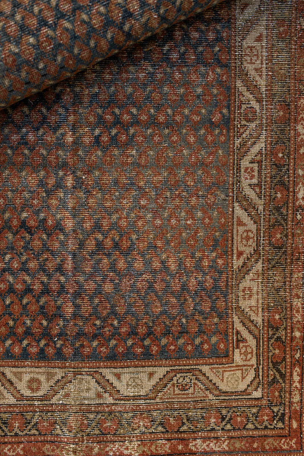 Badra | 3’3 x 15’3