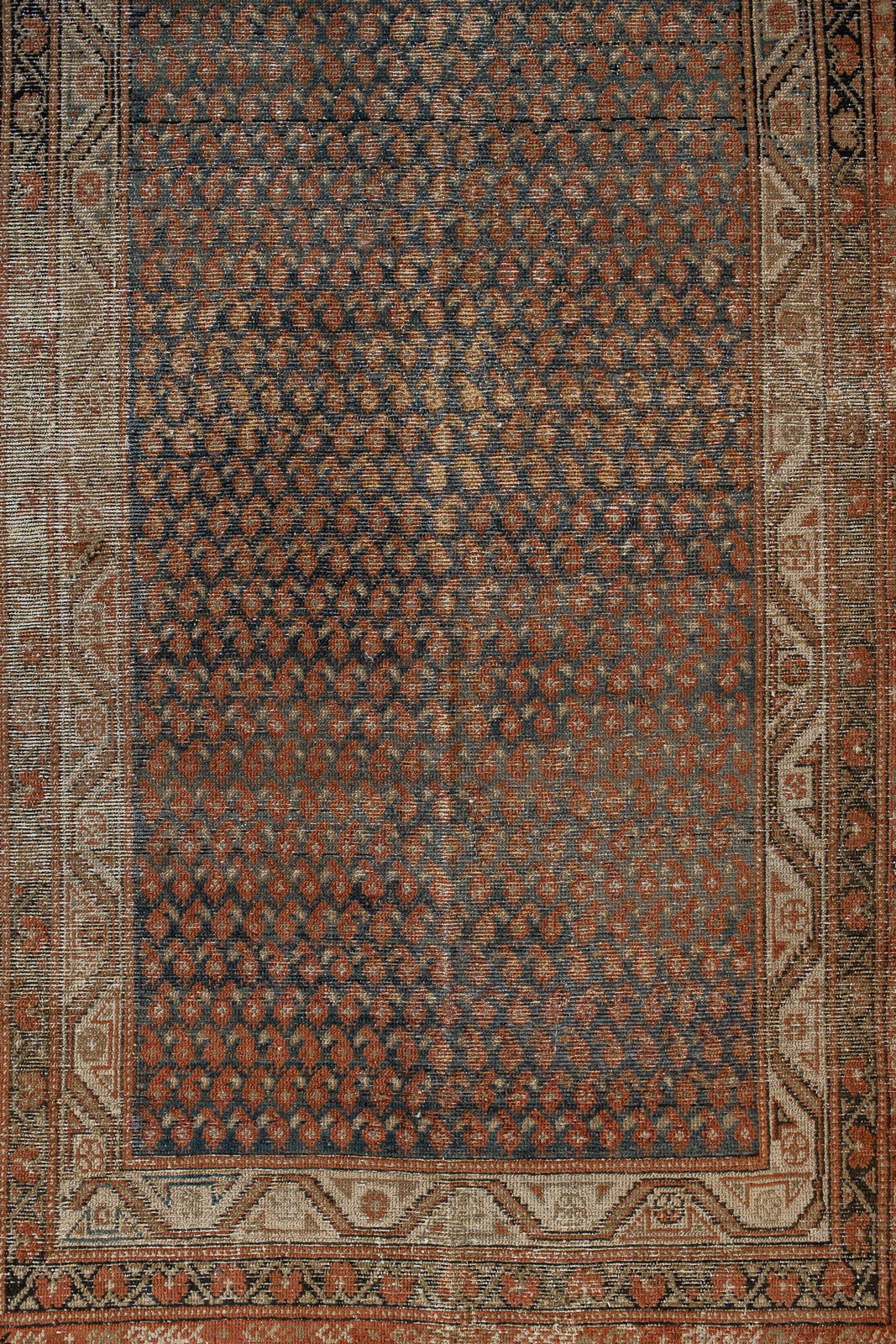 Badra | 3’3 x 15’3