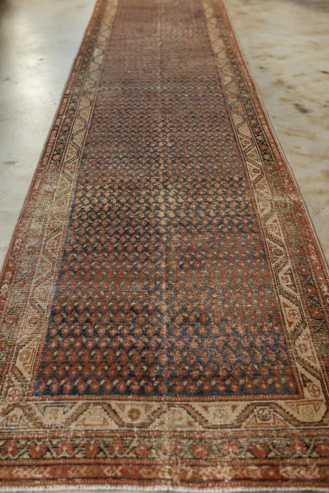 Badra | 3’3 x 15’3