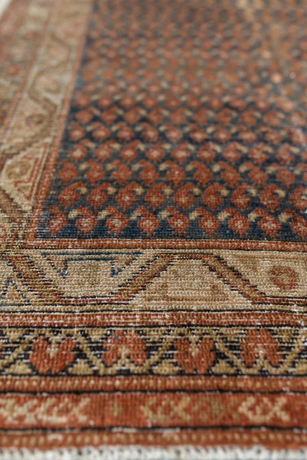 Badra | 3’3 x 15’3