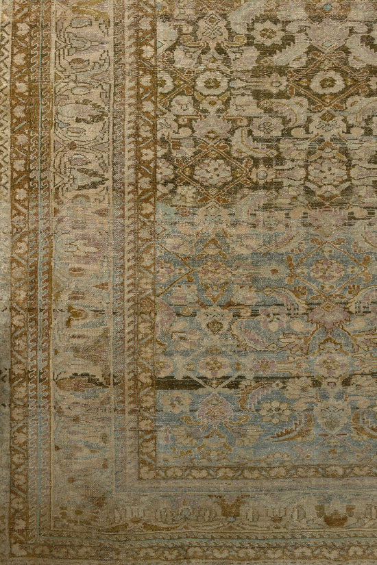 Jalida | 6’7 x 10’3