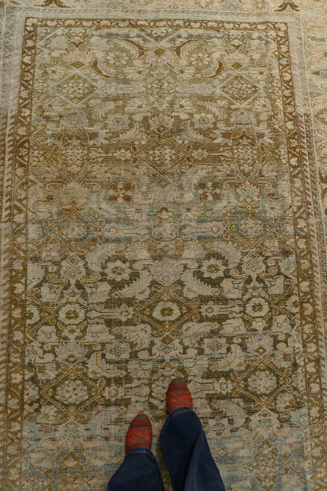 Jalida | 6’7 x 10’3