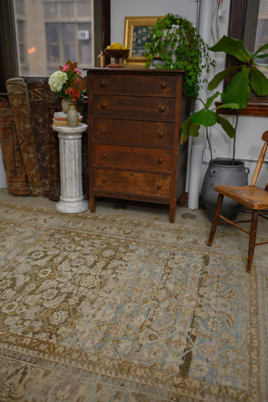 Jalida | 6’7 x 10’3