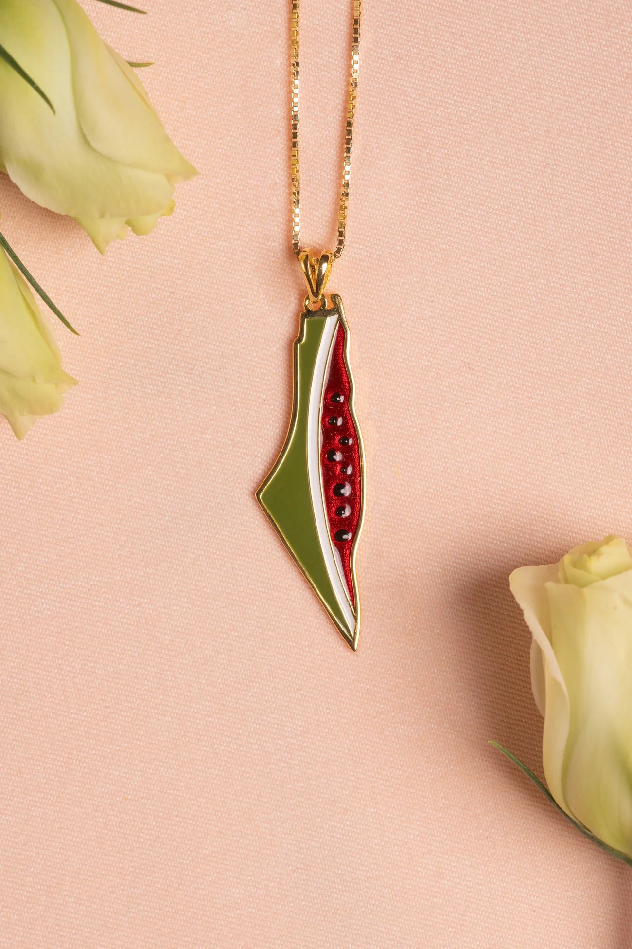Palestine Watermelon map necklace