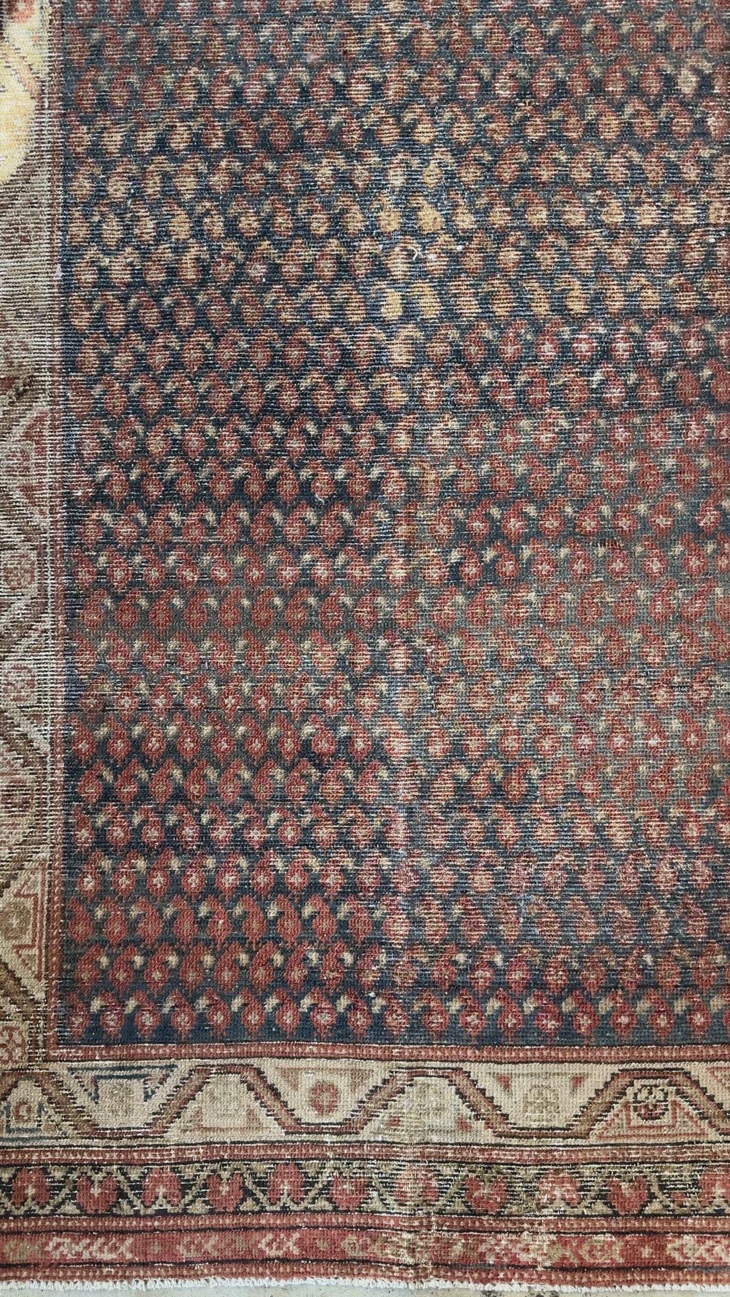 Load and play video in Gallery viewer, Badra | 3’3 x 15’3
