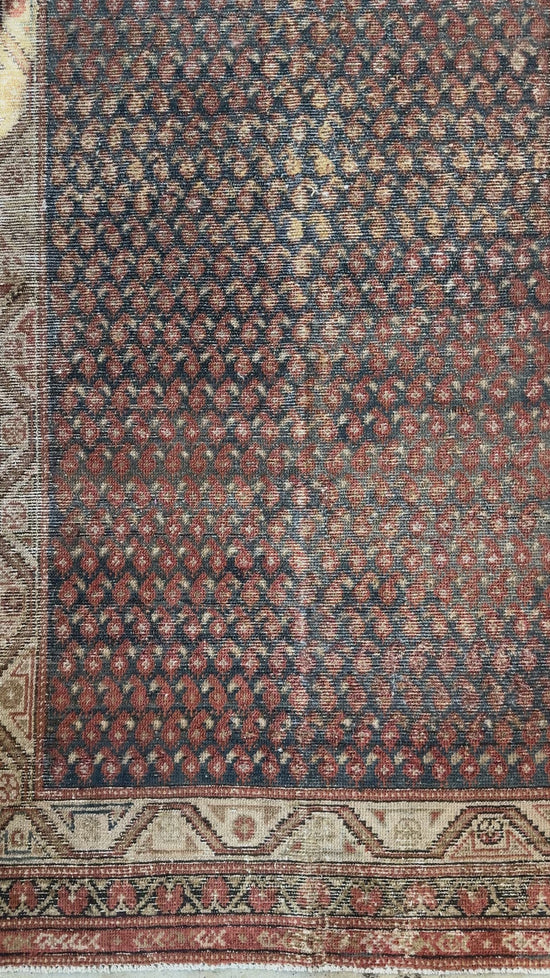 Load and play video in Gallery viewer, Badra | 3’3 x 15’3
